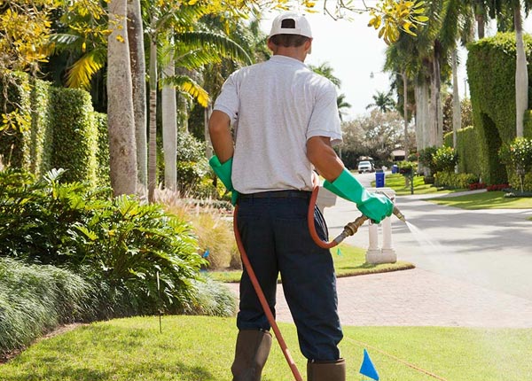 About Thompson Ridge NY Pest Control Pros